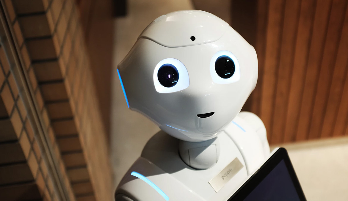 Ecology Consulting In Uzbekistan & in Central Asia: in Afghanistan, Tajikistan, Kazakhstan, Kyrgyzstan and Turkmenistan.