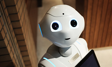 Ecology Consulting In Uzbekistan & in Central Asia: in Afghanistan, Tajikistan, Kazakhstan, Kyrgyzstan and Turkmenistan.