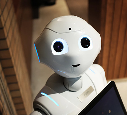 Ecology Consulting In Uzbekistan & in Central Asia: in Afghanistan, Tajikistan, Kazakhstan, Kyrgyzstan and Turkmenistan.