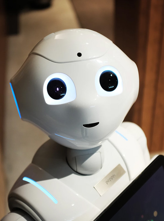 Ecology Consulting In Uzbekistan & in Central Asia: in Afghanistan, Tajikistan, Kazakhstan, Kyrgyzstan and Turkmenistan.