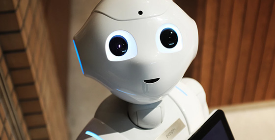 Ecology Consulting In Uzbekistan & in Central Asia: in Afghanistan, Tajikistan, Kazakhstan, Kyrgyzstan and Turkmenistan.