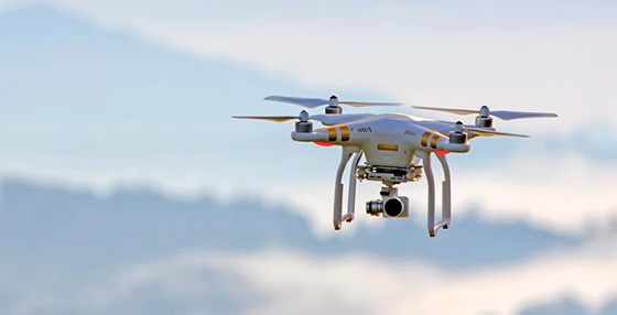 Ecology Consulting In Uzbekistan & in Central Asia: in Afghanistan, Tajikistan, Kazakhstan, Kyrgyzstan and Turkmenistan.