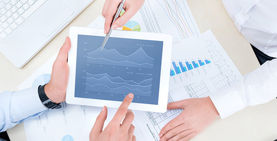 Ecology Consulting In Uzbekistan & in Central Asia: in Afghanistan, Tajikistan, Kazakhstan, Kyrgyzstan and Turkmenistan.