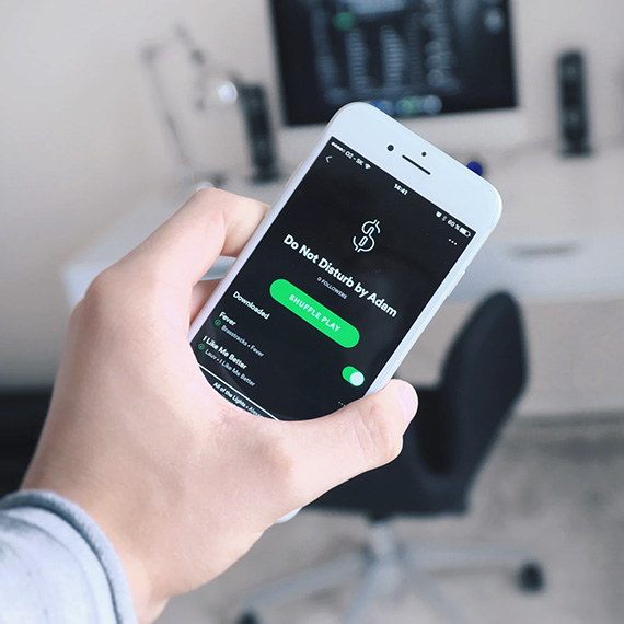 Ecology Consulting In Uzbekistan & in Central Asia: in Afghanistan, Tajikistan, Kazakhstan, Kyrgyzstan and Turkmenistan.