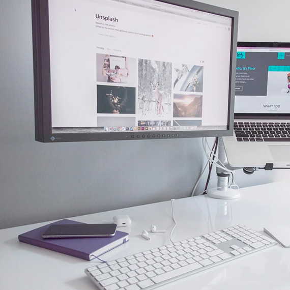 Ecology Consulting In Uzbekistan & in Central Asia: in Afghanistan, Tajikistan, Kazakhstan, Kyrgyzstan and Turkmenistan.