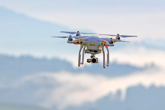 Ecology Consulting In Uzbekistan & in Central Asia: in Afghanistan, Tajikistan, Kazakhstan, Kyrgyzstan and Turkmenistan.