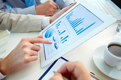 Ecology Consulting In Uzbekistan & in Central Asia: in Afghanistan, Tajikistan, Kazakhstan, Kyrgyzstan and Turkmenistan.