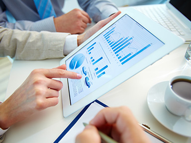 Ecology Consulting In Uzbekistan & in Central Asia: in Afghanistan, Tajikistan, Kazakhstan, Kyrgyzstan and Turkmenistan.