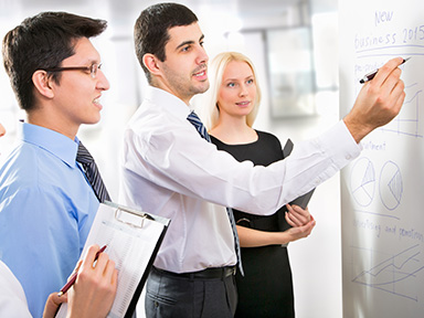 Ecology Consulting In Uzbekistan & in Central Asia: in Afghanistan, Tajikistan, Kazakhstan, Kyrgyzstan and Turkmenistan.