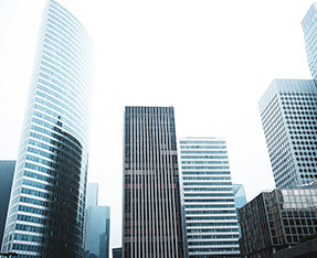 Ecology Consulting In Uzbekistan & in Central Asia: in Afghanistan, Tajikistan, Kazakhstan, Kyrgyzstan and Turkmenistan.